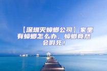 【深圳灭蟑螂公司】家里有蟑螂怎么办，蟑螂竟然会假死！