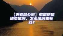 【灭老鼠公司】驱鼠防鼠堵老鼠洞，怎么堵洞更有效？