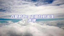 入夏时节:正值白蚁出飞高峰