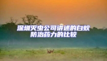 深圳灭虫公司讲述的白蚁防治药力的比较