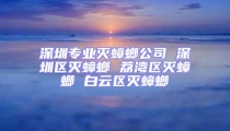 深圳专业灭蟑螂公司 深圳区灭蟑螂 荔湾区灭蟑螂 白云区灭蟑螂