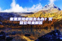 家里发现老鼠怎么办？灭鼠公司来解答