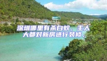 深圳哪里有杀白蚁,主人大都对新房进行装修,