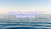 灭治白蚁:家庭白蚁如何有效进行防治