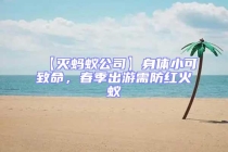 【灭蚂蚁公司】身体小可致命，春季出游需防红火蚁
