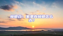 蟑螂药:家里有蟑螂怎么办?