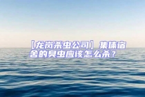 【龙岗杀虫公司】集体宿舍的臭虫应该怎么杀？