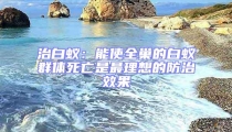 治白蚁：能使全巢的白蚁群体死亡是最理想的防治效果