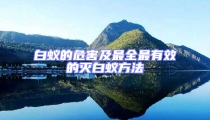 白蚁的危害及最全最有效的灭白蚁方法