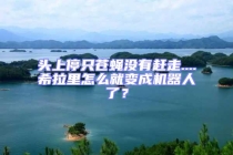 头上停只苍蝇没有赶走....希拉里怎么就变成机器人了？