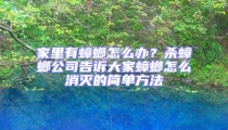 家里有蟑螂怎么办?杀蟑螂公司告诉大家蟑螂怎么消灭的简单方法