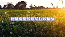 新建房屋的预防白蚁措施