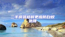 二手房装修时更应防白蚁处理