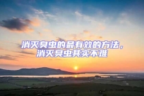 消灭臭虫的最有效的方法，消灭臭虫其实不难