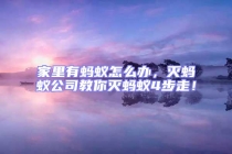 家里有蚂蚁怎么办，灭蚂蚁公司教你灭蚂蚁4步走！