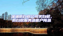 深圳防白蚁公司灭白蚁,防白蚁服务急客户所急