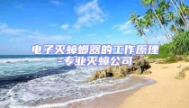 电子灭蟑螂器的工作原理-专业灭蟑公司