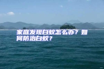家庭发现白蚁怎么办？如何防治白蚁？