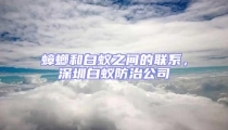 蟑螂和白蚁之间的联系,深圳白蚁防治公司