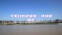 今年白蚁迟爆发,持续时间长