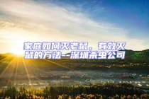 家庭如何灭老鼠，有效灭鼠的方法--深圳杀虫公司