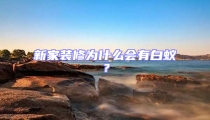 新家装修为什么会有白蚁?