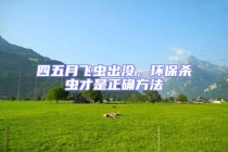 四五月飞虫出没，环保杀虫才是正确方法