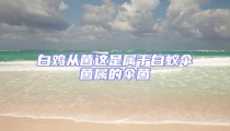 白鸡从菌这是属于白蚁伞菌属的伞菌