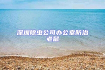深圳除虫公司办公室防治老鼠