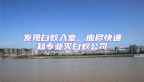 发现白蚁入室,应尽快通知专业灭白蚁公司