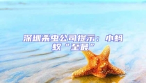 深圳杀虫公司提示:小蚂蚁“至最”