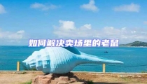 如何解决卖场里的老鼠