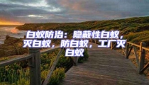 白蚁防治：隐蔽性白蚁，灭白蚁，防白蚁，工厂灭白蚁