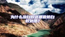 为什么没白蚁还要做防白蚁处理?