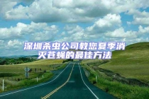 深圳杀虫公司教您夏季消灭苍蝇的最佳方法