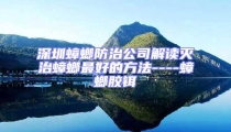 深圳蟑螂防治公司解读灭治蟑螂最好的方法----蟑螂胶铒