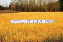 家庭应如何选择灭虫公司
