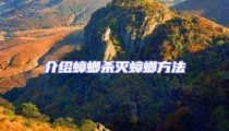 介绍蟑螂杀灭蟑螂方法