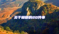 关于蟑螂的20件事