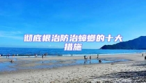 彻底根治防治蟑螂的十大措施