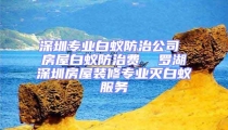 深圳专业白蚁防治公司 房屋白蚁防治费  罗湖深圳房屋装修专业灭白蚁服务