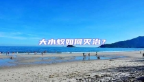 大水蚁如何灭治？