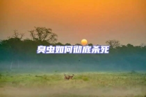 臭虫如何彻底杀死