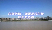 白蚁防治：如果发现白蚁该怎么防治