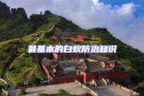 最基本的白蚁防治知识