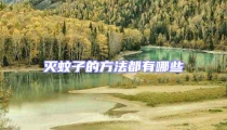 灭蚊子的方法都有哪些