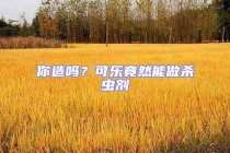 你造吗？可乐竟然能做杀虫剂