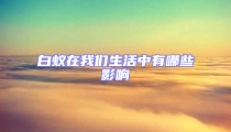 白蚁在我们生活中有哪些影响