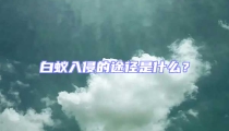 白蚁入侵的途径是什么?