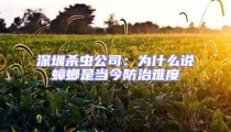 深圳杀虫公司：为什么说蟑螂是当今防治难度